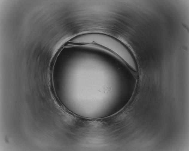 X0000099961085200806061600