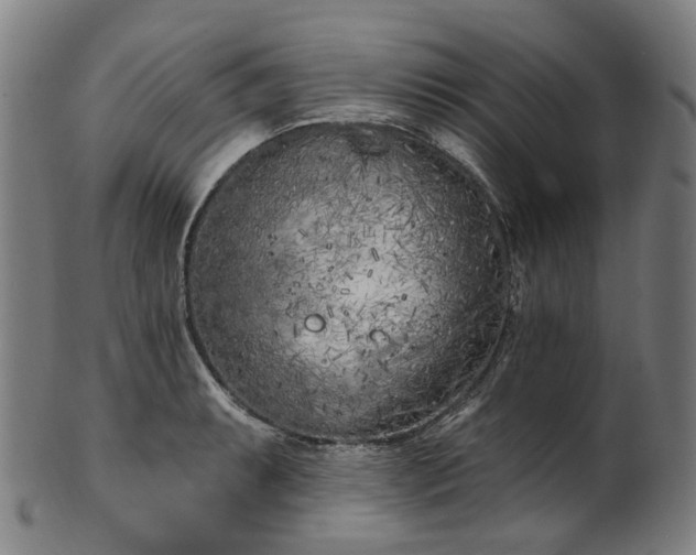 X0000099961087200806061600
