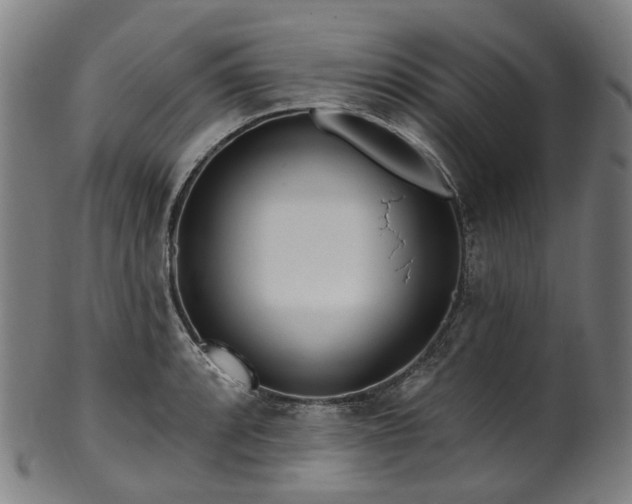 X0000099961088200806061600