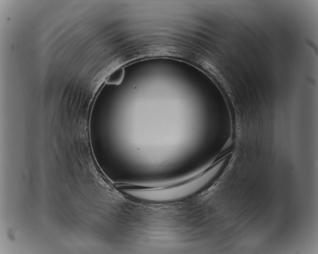 X0000099961089200806061600