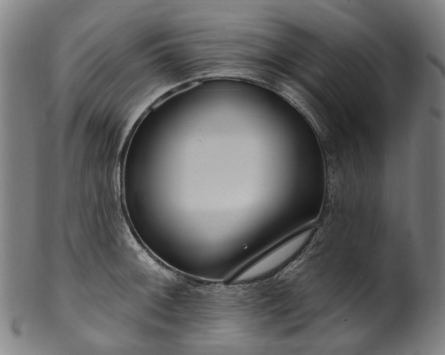X0000099961092200806061600