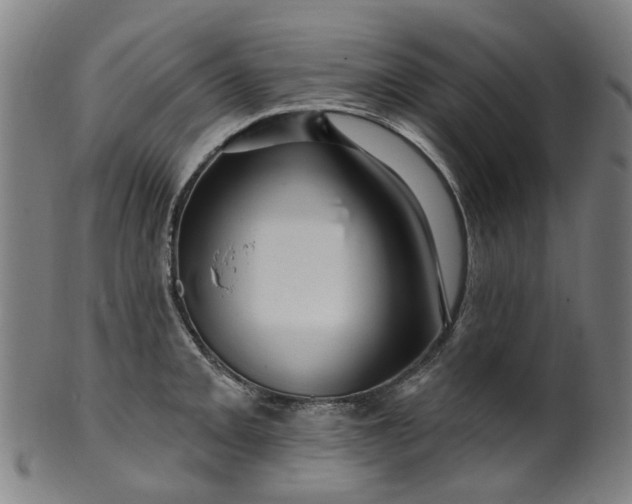 X0000099961093200806061600