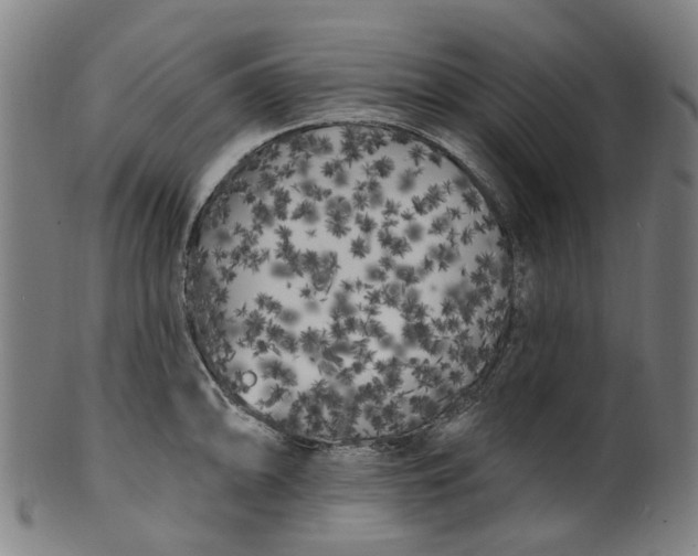 X0000099961094200806061600