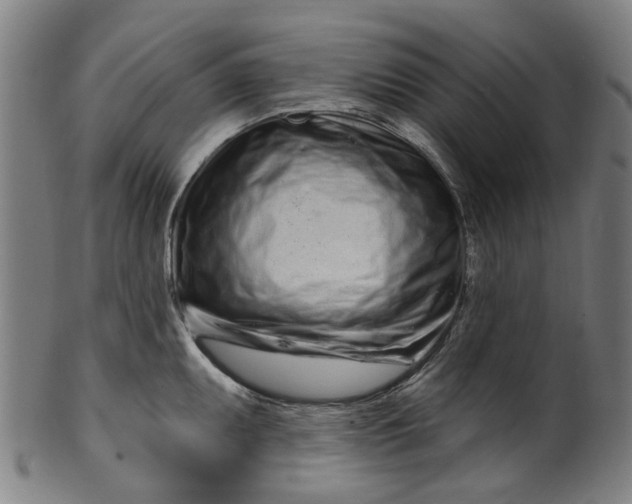 X0000099961095200806061600