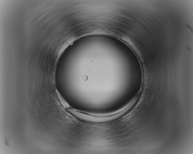 X0000099961097200806061600