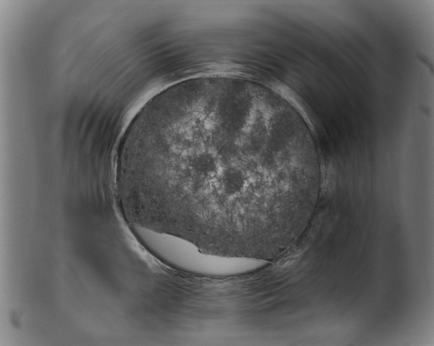 X0000099961099200806061600