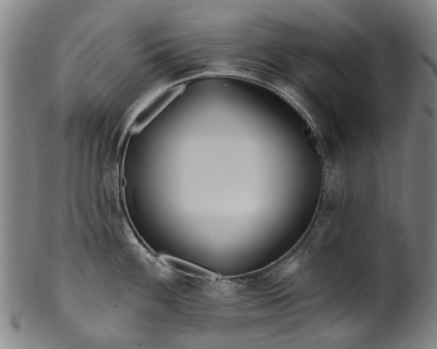 X0000099961100200806061600