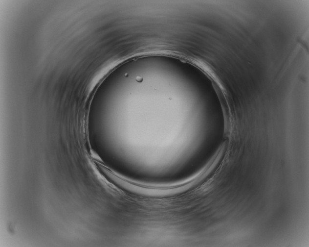 X0000099961101200806061600