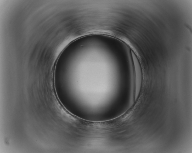 X0000099961102200806061600