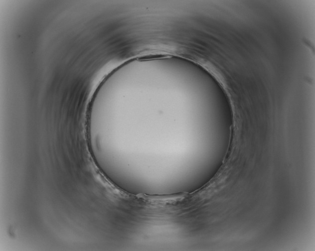 X0000099961104200806061600