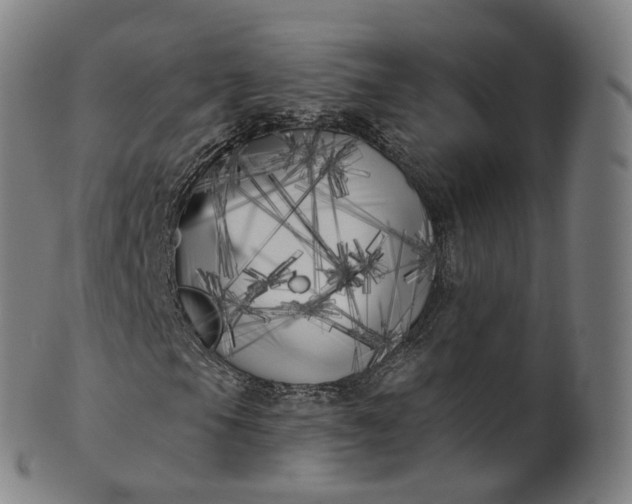 X0000099961105200806061559