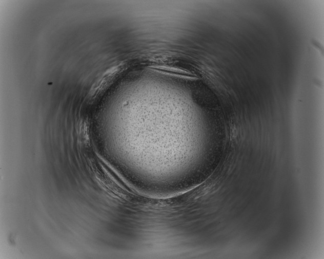 X0000099961106200806061559