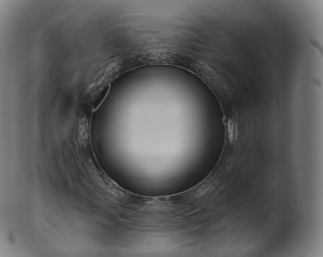X0000099961107200806061559