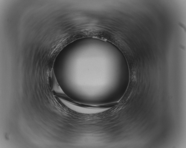 X0000099961108200806061559