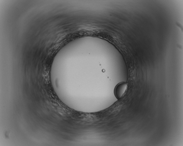 X0000099961109200806061559