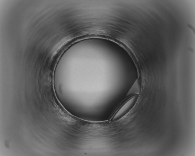 X0000099961115200806061559