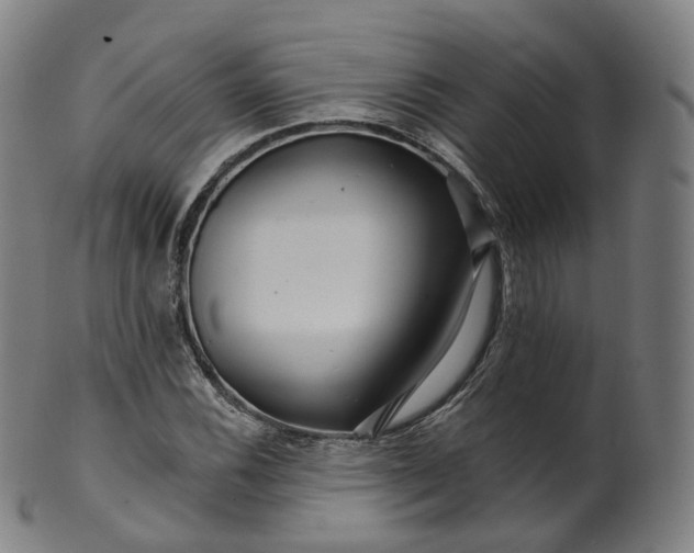 X0000099961116200806061559