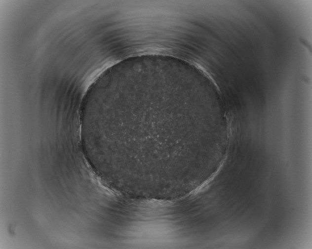 X0000099961117200806061559