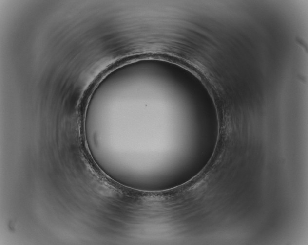 X0000099961118200806061559