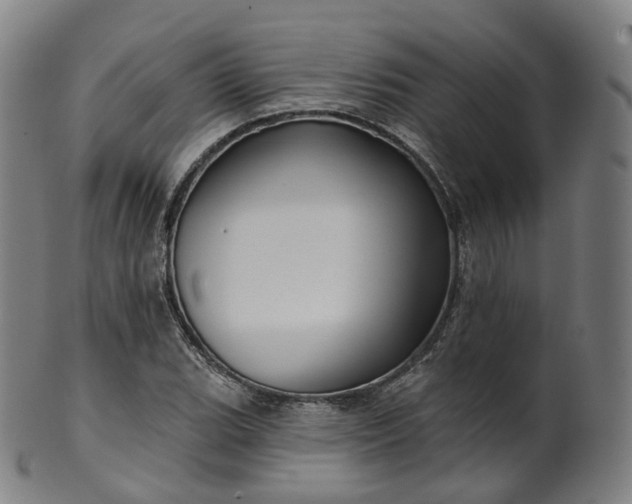 X0000099961119200806061559