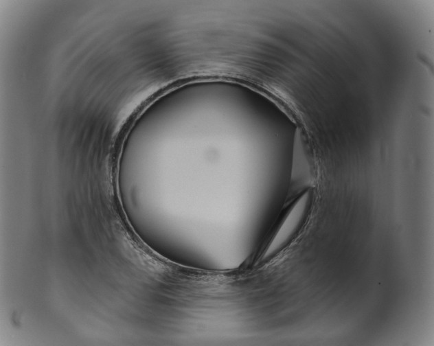 X0000099961120200806061559