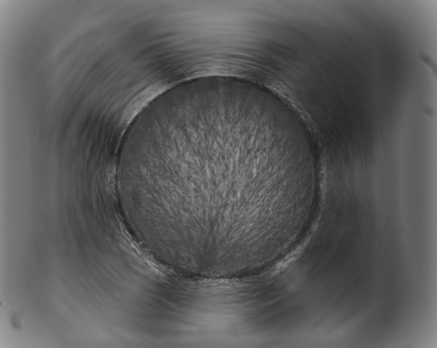 X0000099961121200806061559