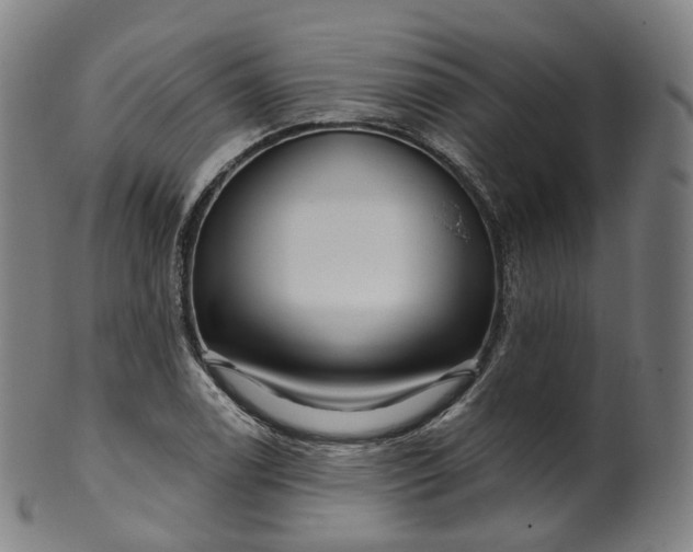 X0000099961122200806061559