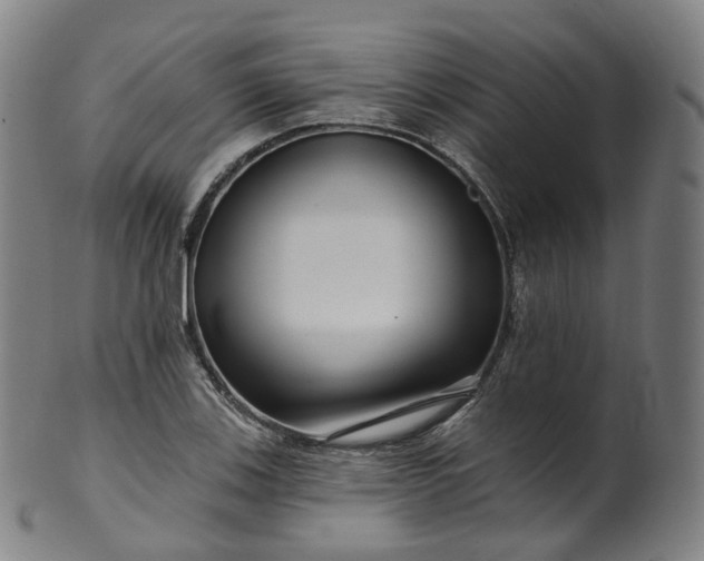 X0000099961123200806061559