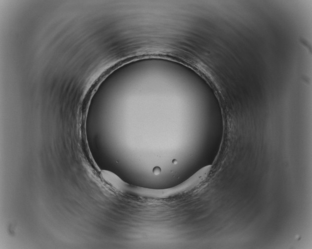 X0000099961124200806061559