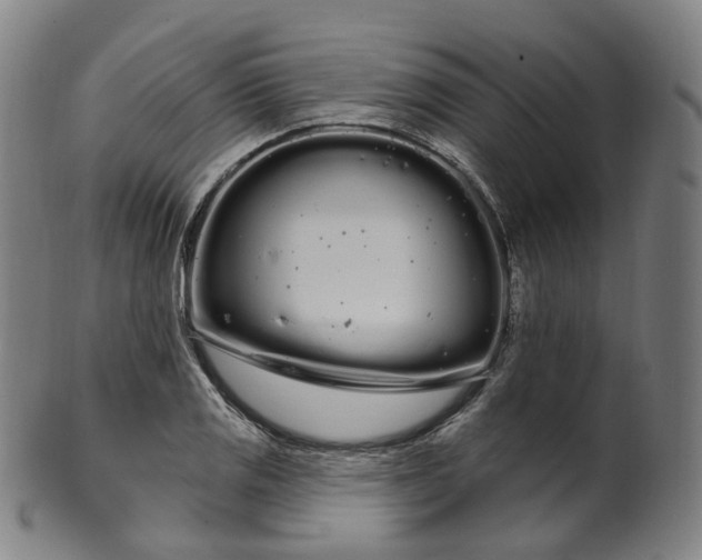 X0000099961125200806061559