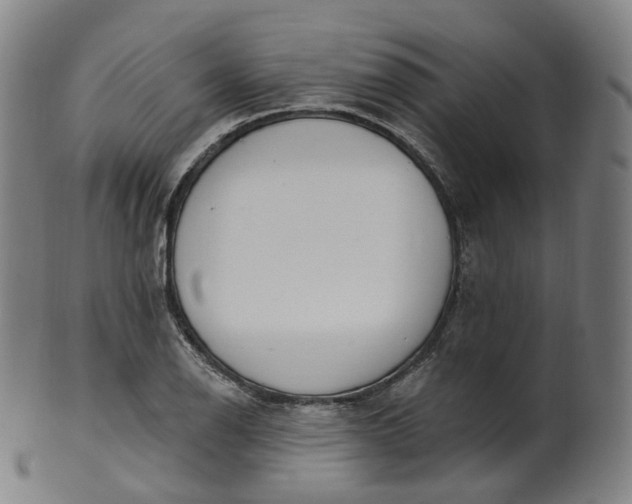 X0000099961126200806061559