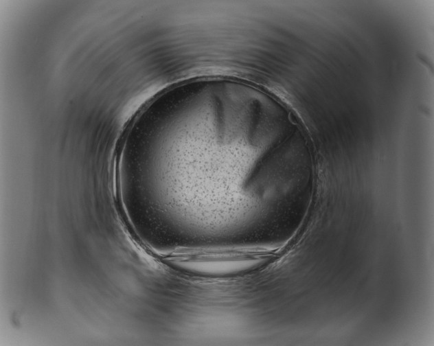 X0000099961127200806061559