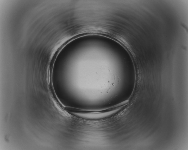 X0000099961128200806061559