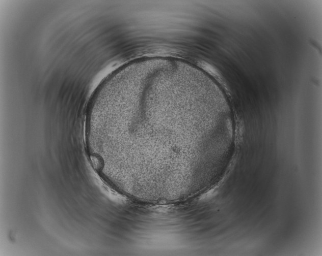 X0000099961130200806061559