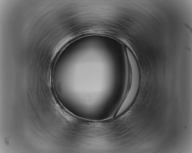 X0000099961131200806061559