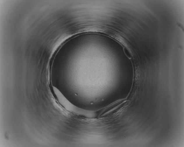 X0000099961132200806061559