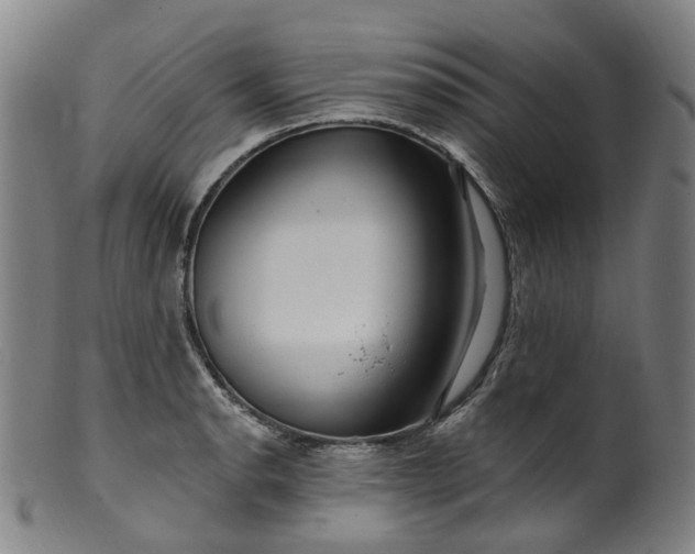 X0000099961134200806061559
