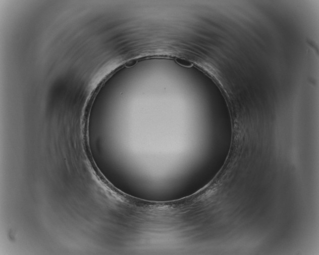 X0000099961135200806061559