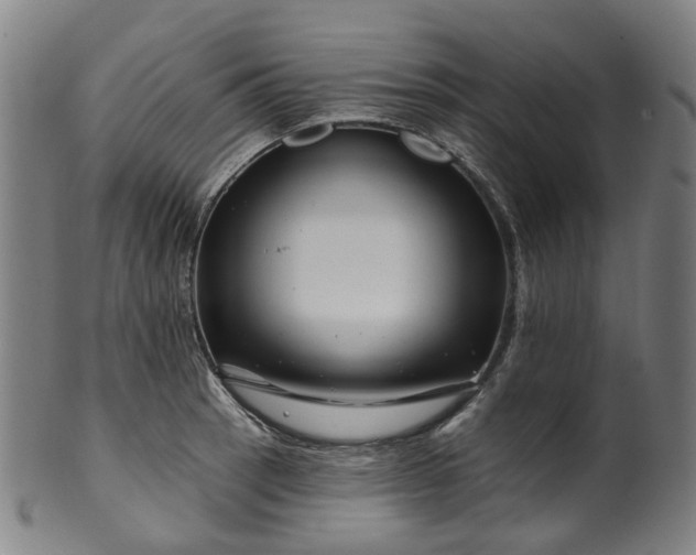 X0000099961137200806061559