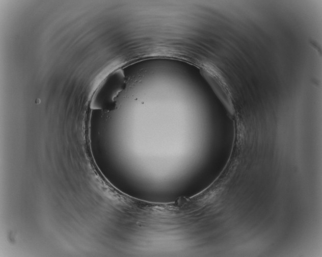 X0000099961138200806061559