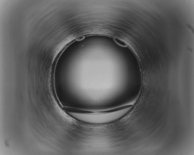 X0000099961139200806061559