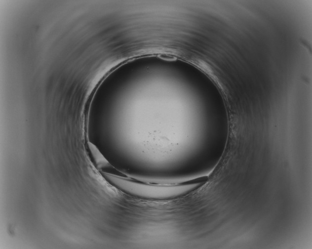 X0000099961140200806061559