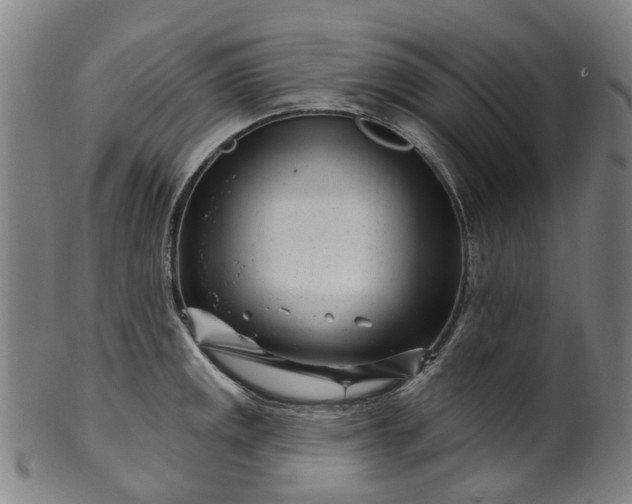 X0000099961141200806061559