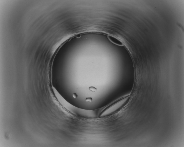 X0000099961142200806061600