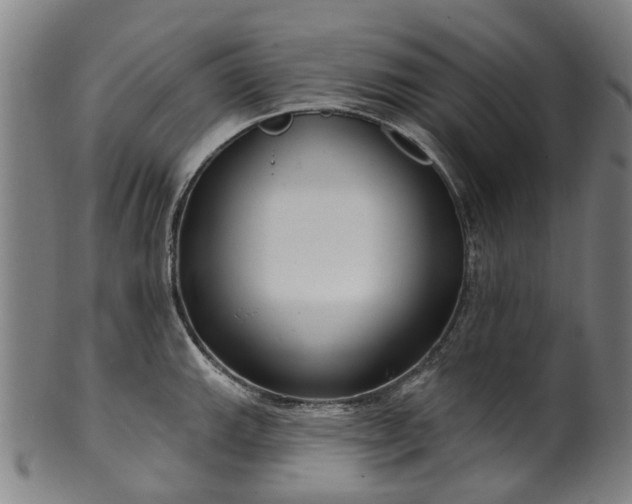 X0000099961143200806061600