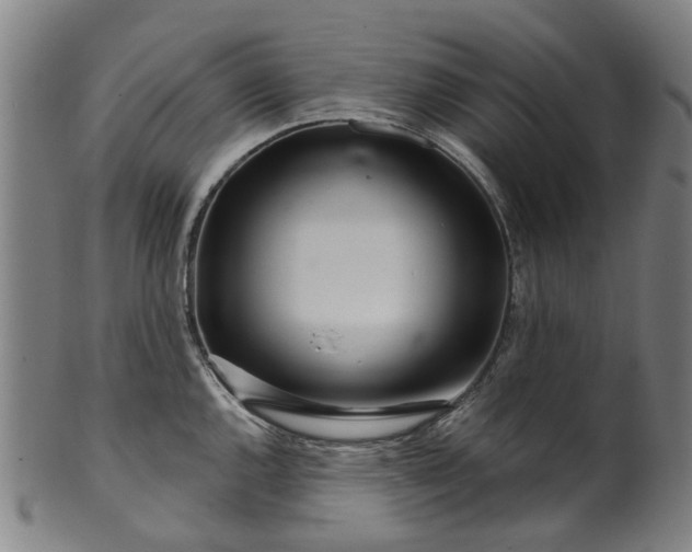 X0000099961144200806061600