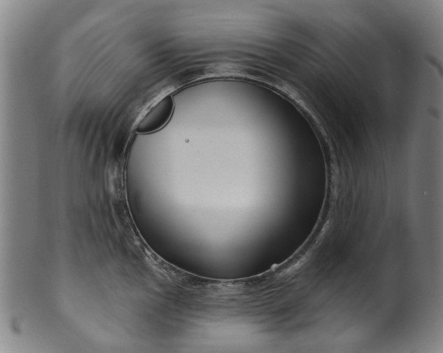 X0000099961145200806061600