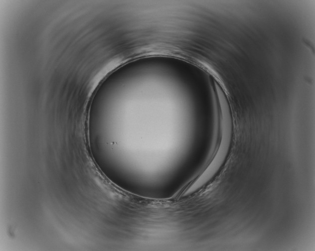 X0000099961146200806061600