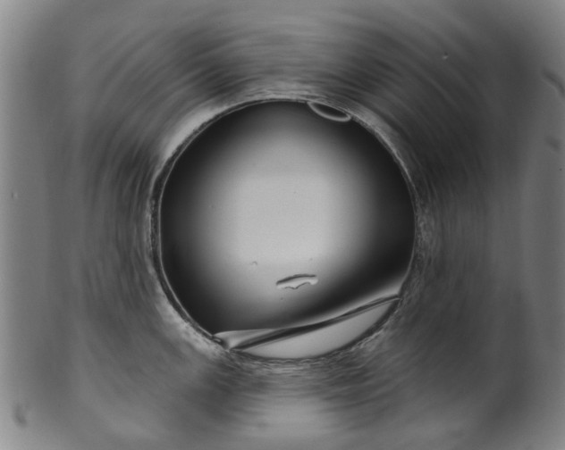 X0000099961147200806061600