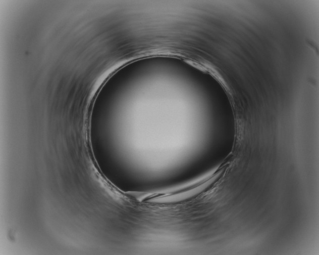 X0000099961148200806061600